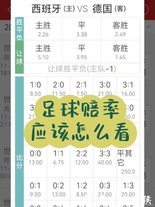 世界杯竞猜APP如何选择高赔率玩法 世界杯竞猜APP如何选择高赔率玩法